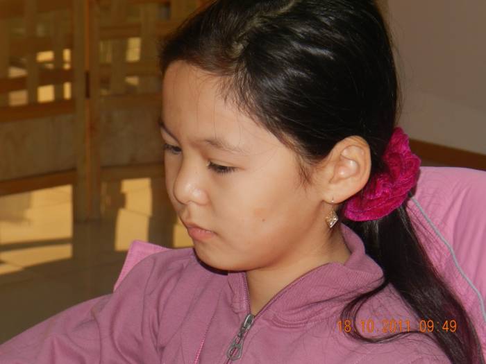 Шахматная школа 