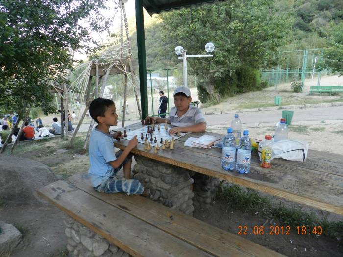 Шахматная школа 