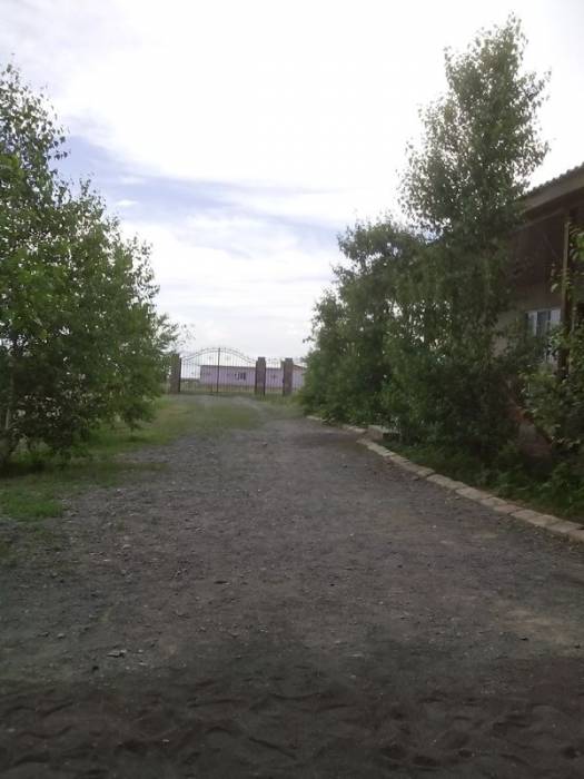 Алаколь Семейный отдых Зеленая крыша, фотография 10