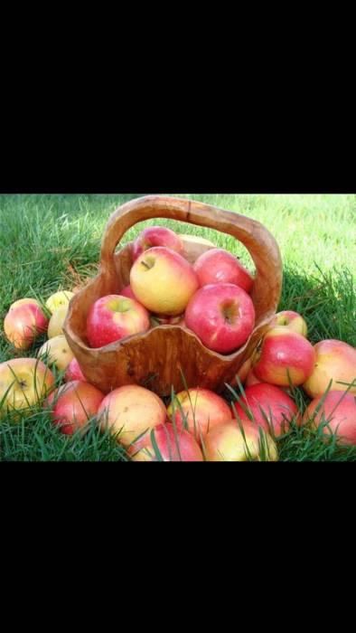 Страх смерти, панические атаки..., фотография 1