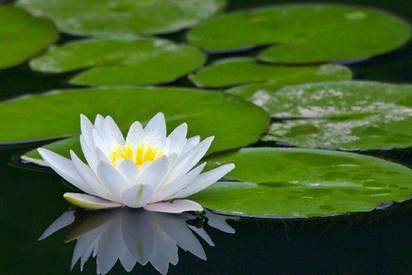 Методическая поддержка, фотография 1