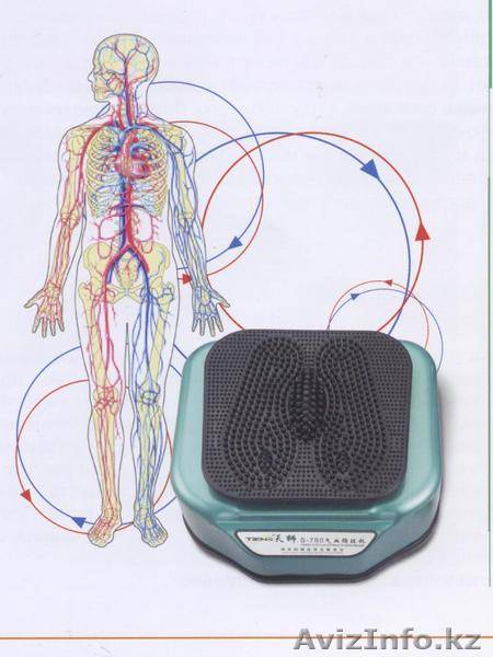 СЦЕК - стимулятор циркуляции энергии ЦИ и крови (Домашний доктор, фотография 1