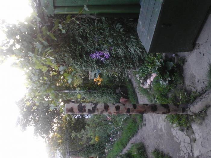 Продам дом, фотография 3