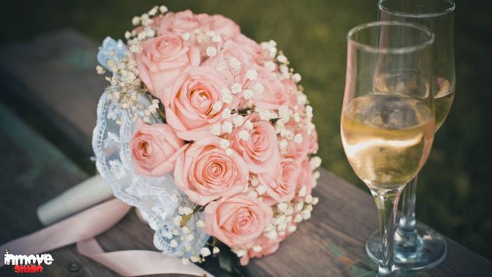 Профессиональный видеограф, фотография 2