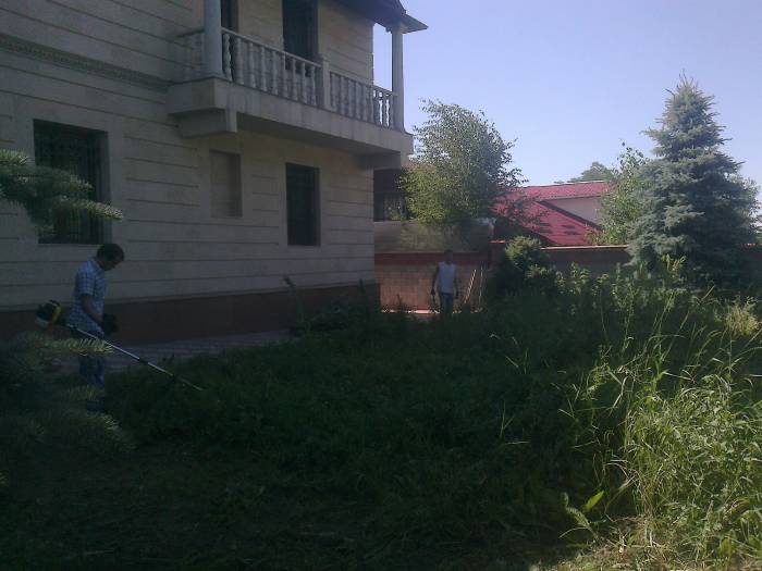 ПОКОС ТРАВЫ , УБОРКА ТЕРРИТОРИИ ., фотография 1