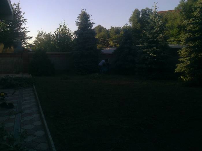 ПОКОС ТРАВЫ , УБОРКА ТЕРРИТОРИИ ., фотография 3