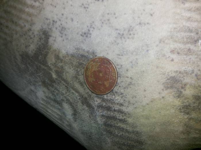 старинные манеты, фотография 2