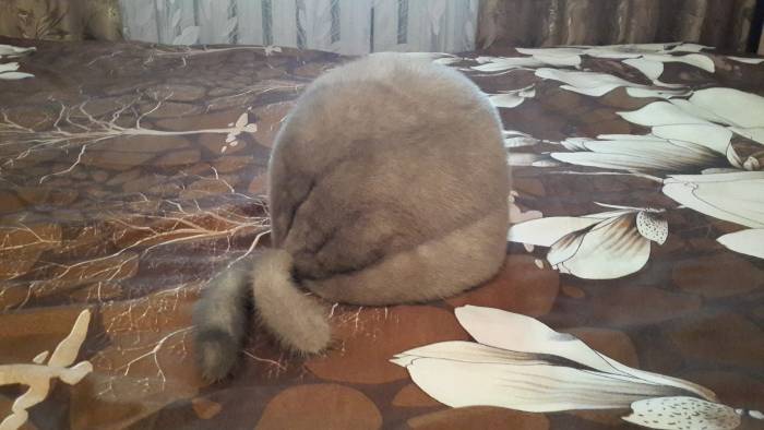 Продаю Шапку жен.Норка, фотография 1