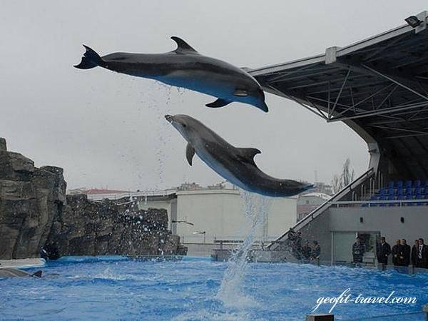 Туристическая компания ТОО 