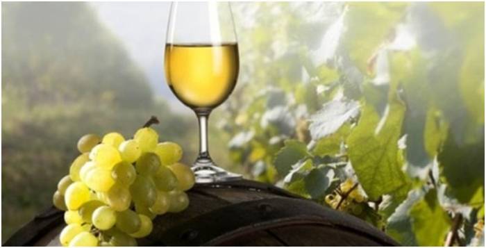 Иссыкский край с дегустацией вин, фотография 1