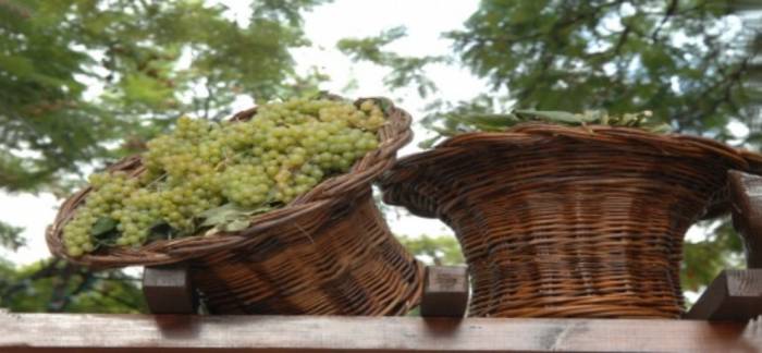 ИССЫКСКИЙ ВИННЫЙ ФЕСТИВАЛЬ 2014, фотография 6