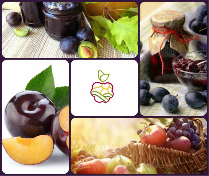 Саженцы сливы в Казахстане, оптом и в розницу., фотография 1