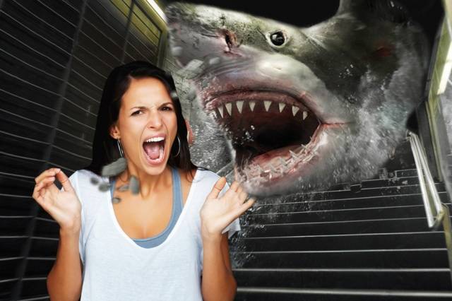 Продам готовый бизнес, фотография 2