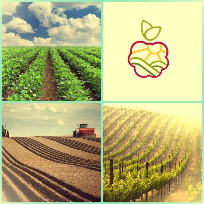 Питомник плодово-ягодных культур реализует саженцы., фотография 1