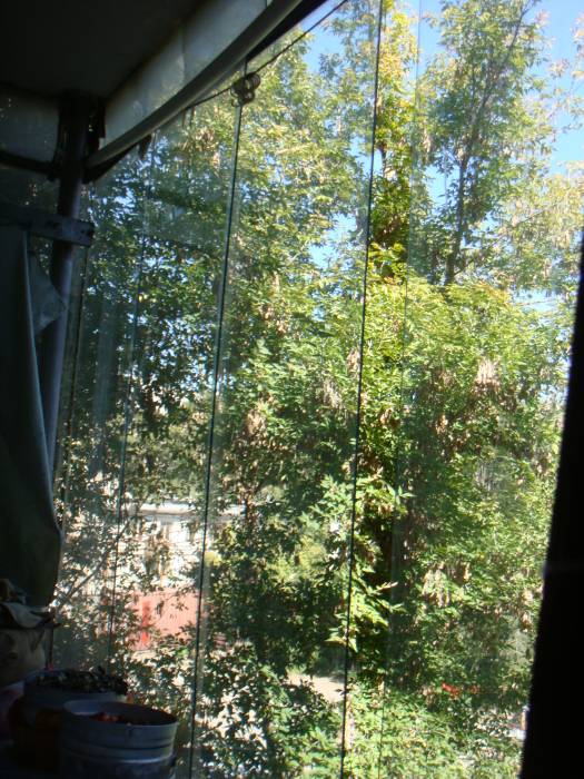 3х в р-не маг.Восход, фотография 1