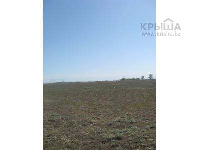 Участок 80 соток, Капчагай, фотография 1