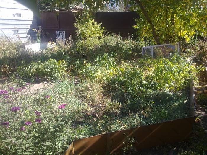 5-комнатный дом в Чубарах. За 45 лимонов. Срочно , фотография 11