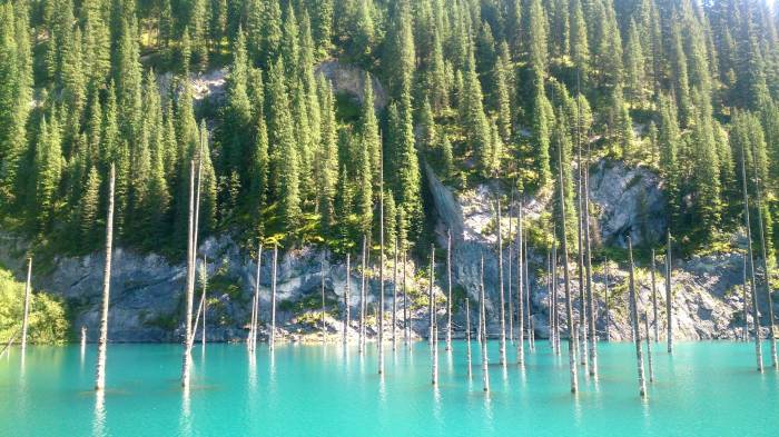 Индивидуальные VIP туры по Алматинской области, фотография 5