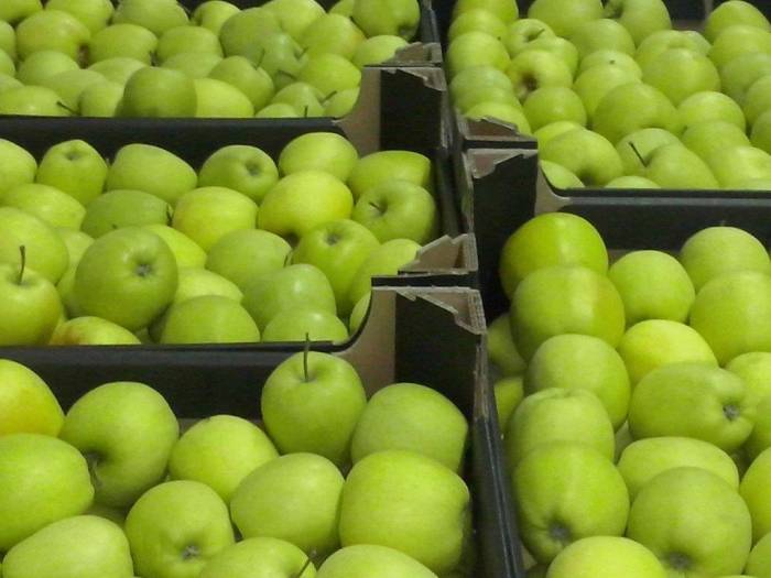 яблоки польские только оптом, фотография 4