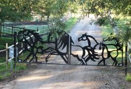  решетки ворота навесы сэндвич панели домофоны спутниковое тв, фотография 8