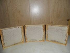 Продам сотовый мед, фотография 1