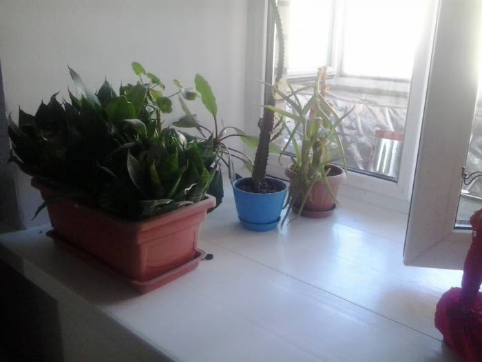 Продать квартира распошёнка тёплая, кудайбердыулы, фотография 2