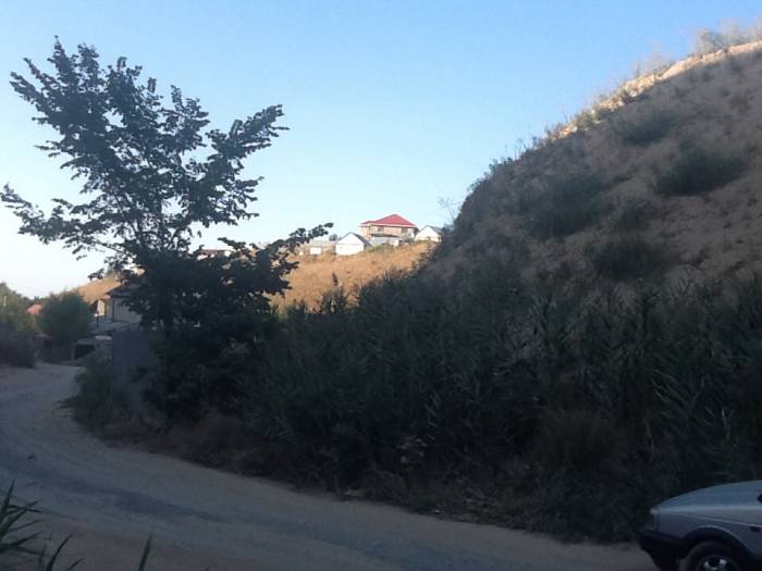 Отдам грунт, фотография 3