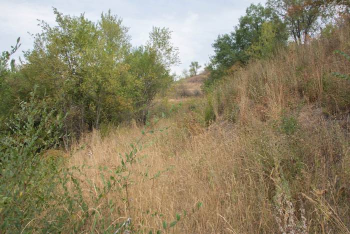 Продам Участок 6 соток, мкр Коктобе 70000$, фотография 8