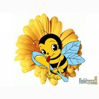 Продам оптом мед, фотография 1