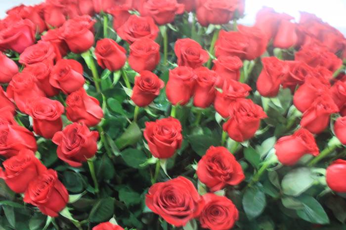 Цветы оптом и в розницу, фотография 1