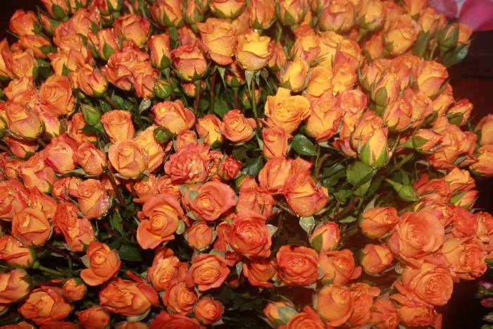 Цветы оптом и в розницу, фотография 7