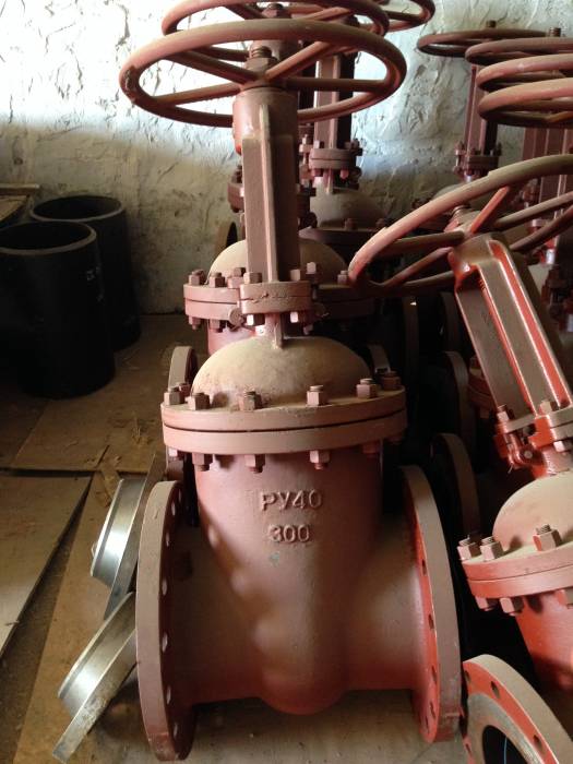 Задвижка 30с15нж Ду300 Ру40, фотография 1