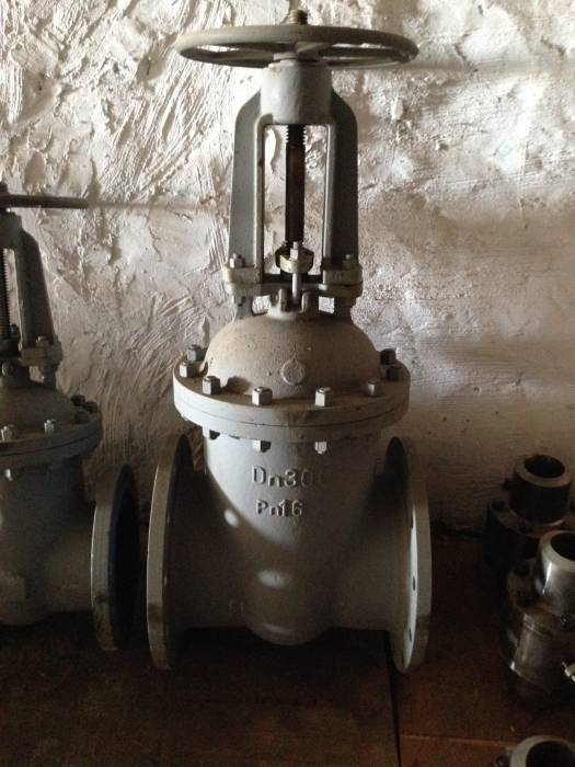 Задвижка 30с41нж Ду300 Ру16, фотография 1
