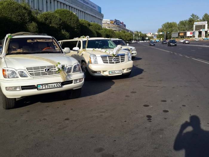 Лимузины, свадебный кортеж, фотография 10