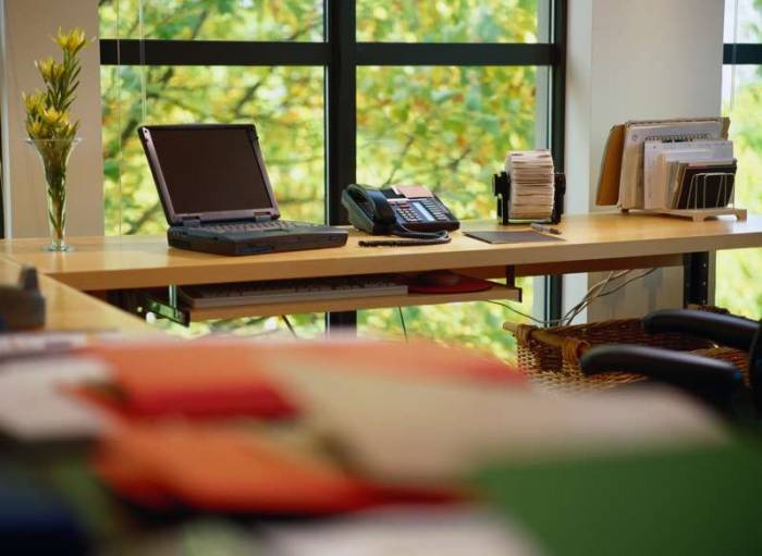 заместитель - руководитель, фотография 1