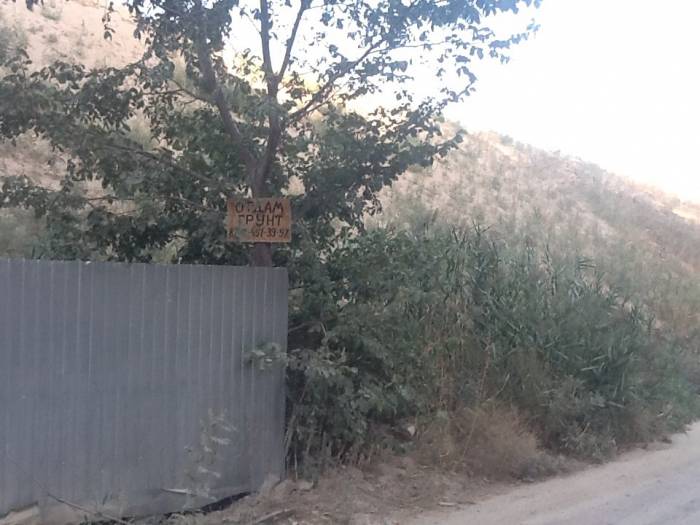 Отдам грунт, фотография 4