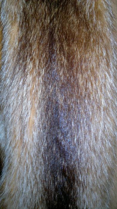 продам енотовый жилет, фотография 3