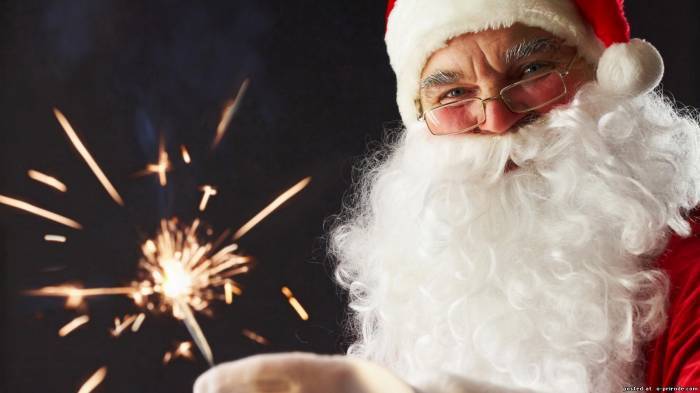 Дед Мороз на дом, фотография 1