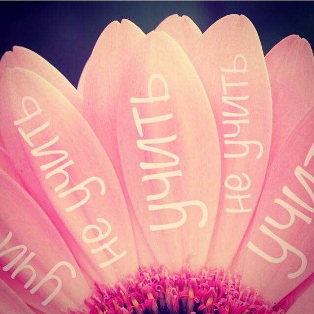 Годовой курс Чешского языка в Мельнике! 2015-2016, фотография 1