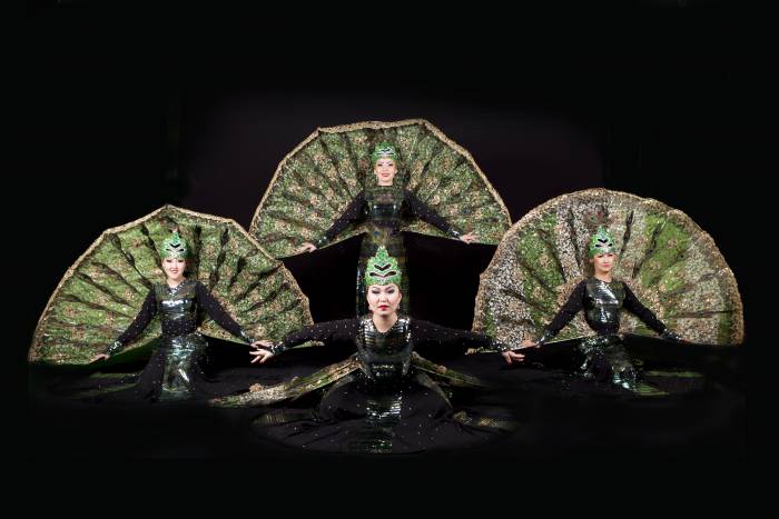 Танцевальный коллектив Шоу Балет ZARA, фотография 11