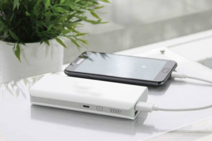 Зарядное устройство (powerbank) Romoss, фотография 4