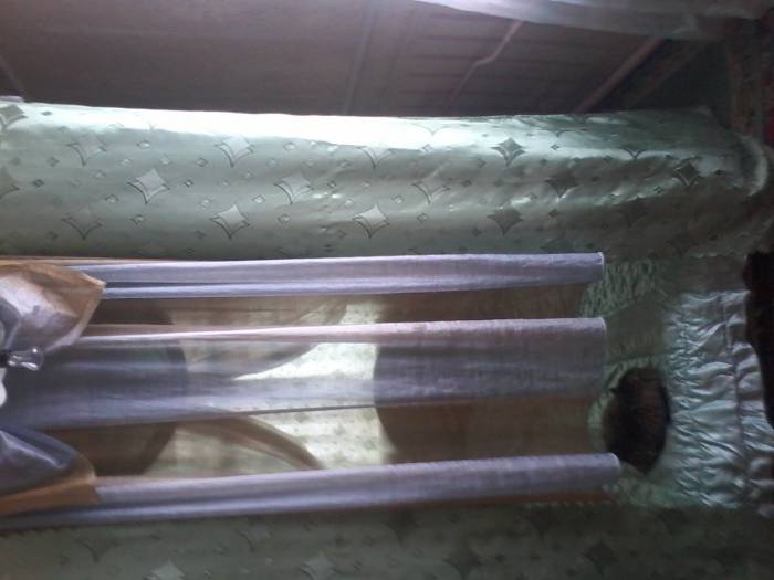 Сдам 2-х комнат.квартиру в городе на долгий срок, Джамбула, фотография 4