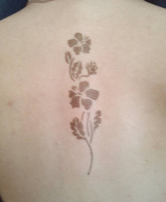 Временные биотатту хной и блестками, фотография 2