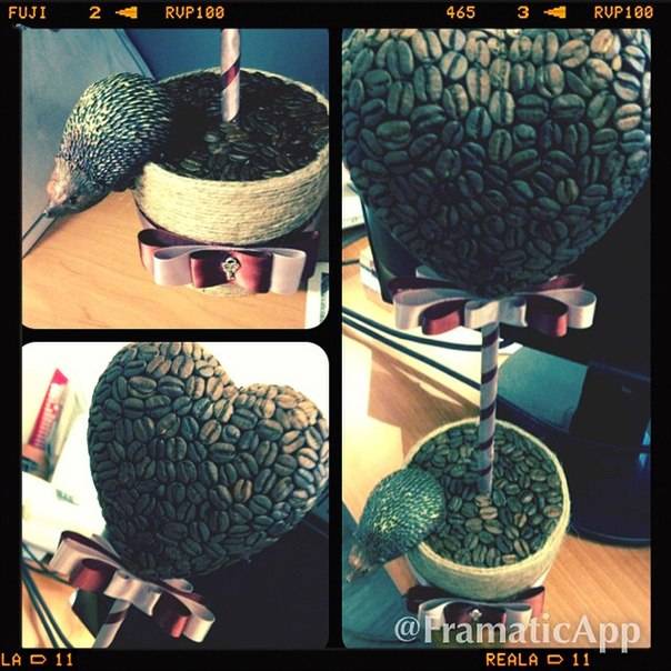 Топиарий дерево счастья из кофе в подарок Караганда, фотография 4