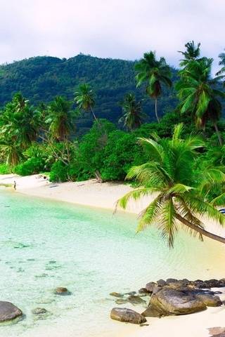 Горящие туры от тур оператора Premier, фотография 1