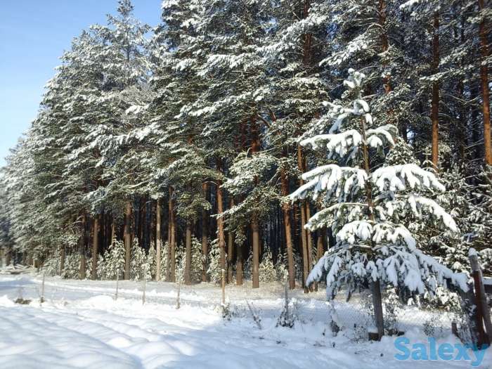 зимний дом в красивейшем месте новгородской области, фотография 10