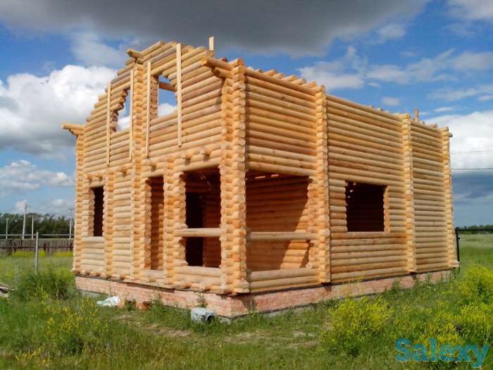 Оцилиндрованное бревно с чашками и без., фотография 6