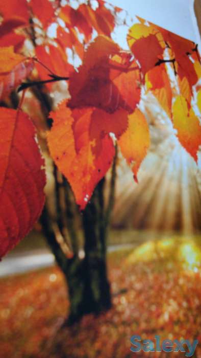 Жалюзи для вас, фотография 2