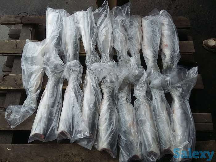 Морепродукты, фотография 5