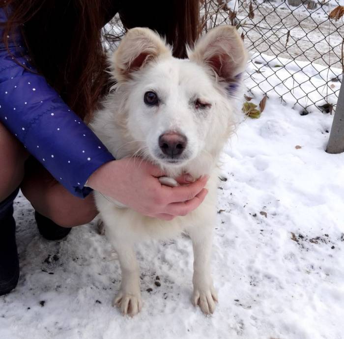 Срочно отдаем в хорошие ручки! , фотография 2